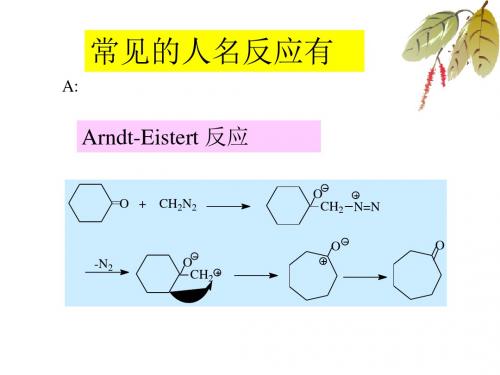 常见的人名反应PowerPoint演示文稿