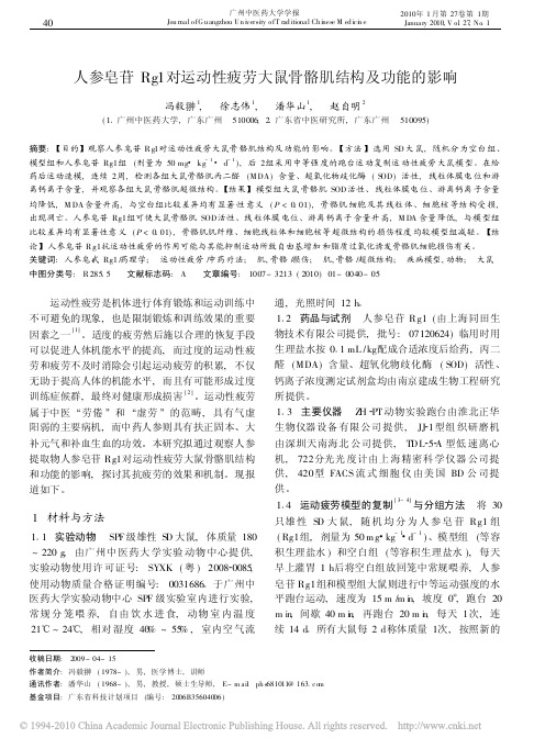 人参皂苷Rg1对运动性疲劳大鼠骨骼肌结构及功能的影响