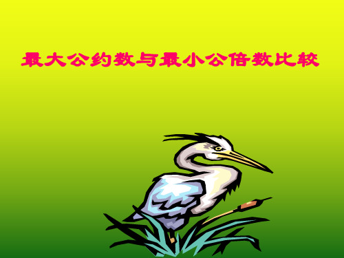 最大公约数与最小公倍数比较1