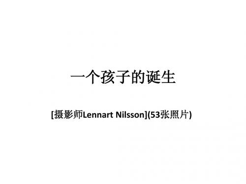一个孩子的诞生
