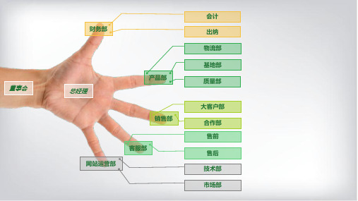 组织结构 图表分类