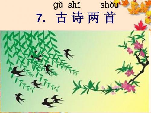2017新版一年级下册《7古诗两首春晓草》课件