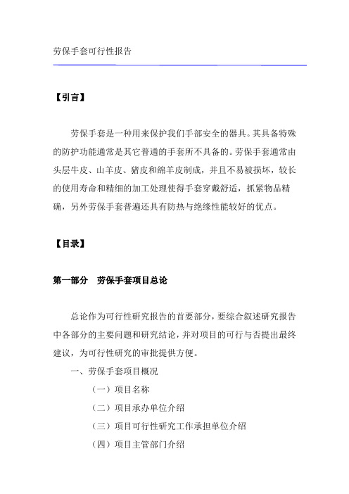 劳保手套可行性报告[管理资料]