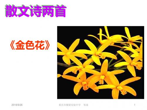 7.散文诗两首《金色花》《荷叶·母亲》邹童课件