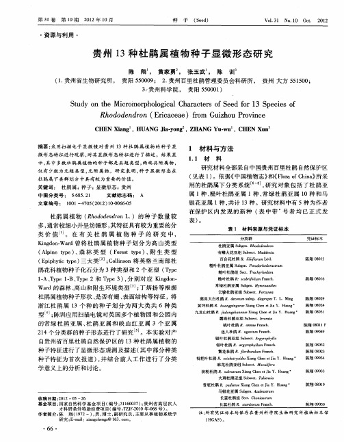 贵州13种杜鹃属植物种子显微形态研究
