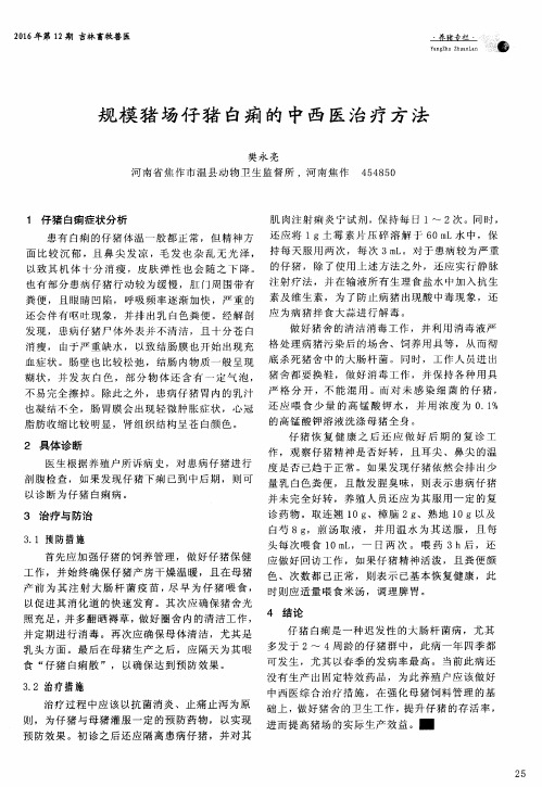 规模猪场仔猪白痢的中西医治疗方法