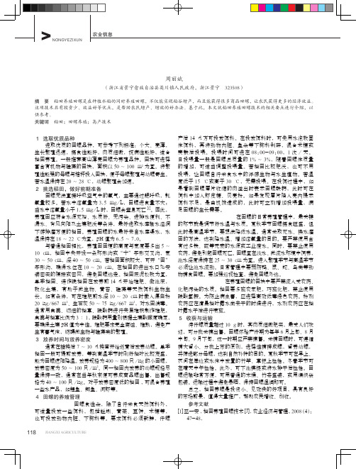 稻田养殖田螺高产技术
