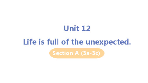 人教版九年级英语全一册第十二单元Unit12 Section A (3a-3c)教学PPT课件