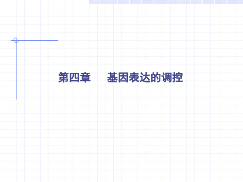 乳糖操纵子的调控机理