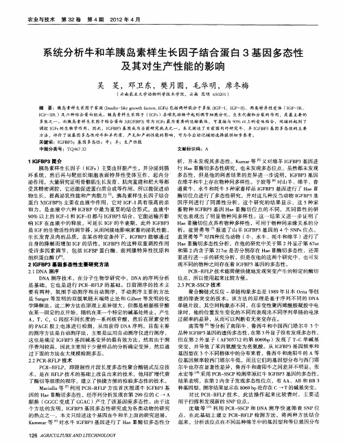 系统分析牛和羊胰岛素样生长因子结合蛋白3基因多态性及其对生产性能的影响