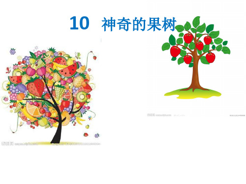 (一上)美术优秀课件-10神奇的果树 ｜广西版 PPT(24页)