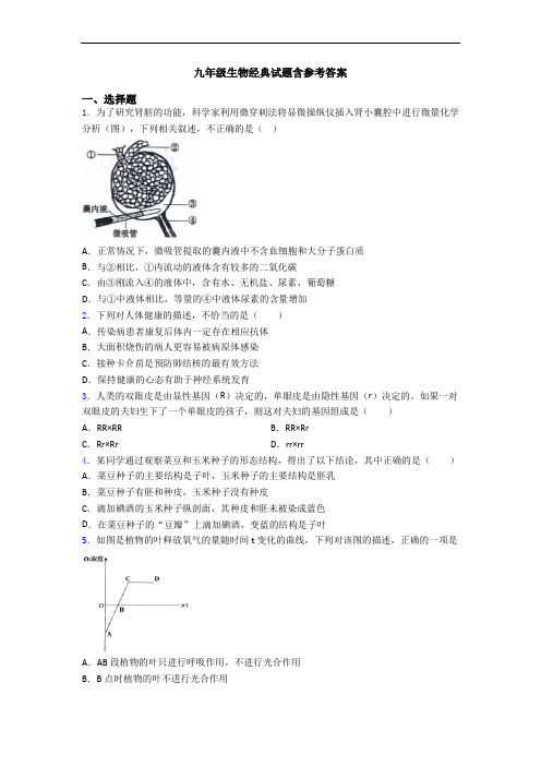 九年级生物经典试题含参考答案