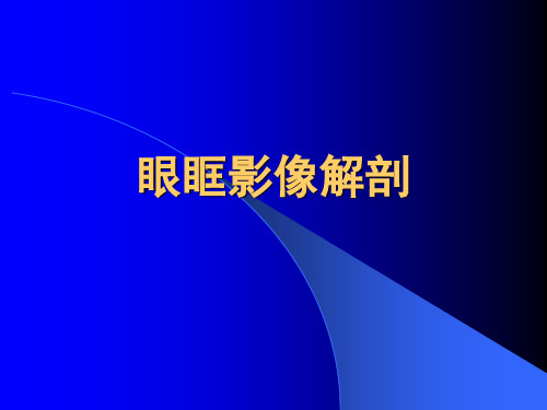 眼眶影像解剖