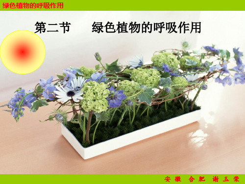 呼吸作用