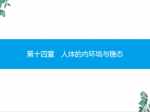 人教版高中生物《人体的内环境与稳态》优质-公开课PPT名师课件