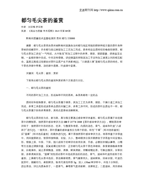 都匀毛尖茶的鉴赏
