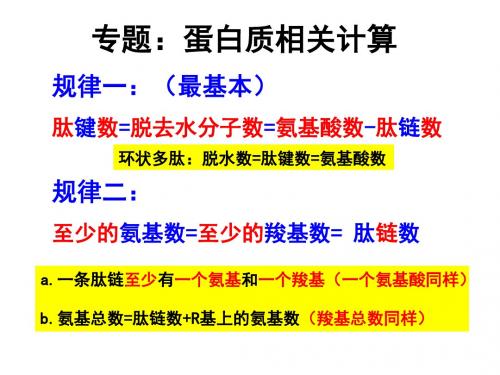 蛋白质计算精讲