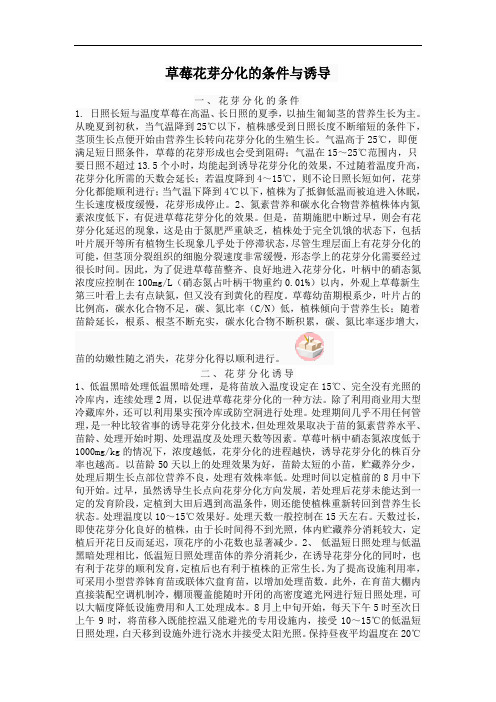 草莓花芽分化的条件与诱导