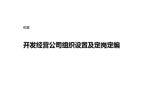 XX开发经营公司组织设置及定岗定编