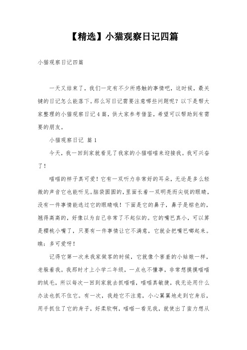 【精选】小猫观察日记四篇