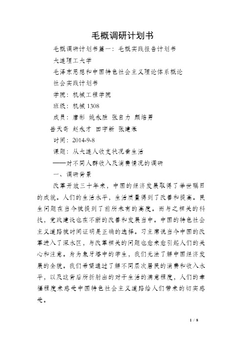毛概调研计划书
