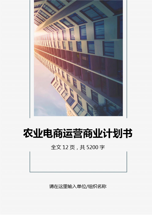 农业电商运营商业计划书
