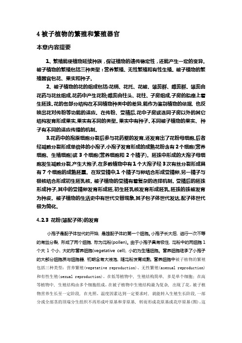 4被子植物的繁殖和繁殖器官 本章内容提要 1、繁殖能使植物延续种族