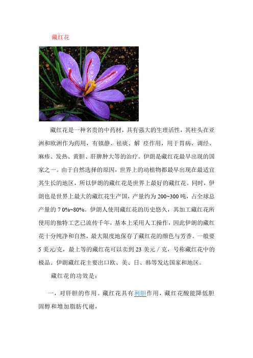 伊朗特产