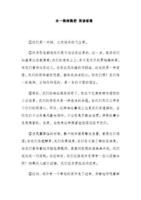 向一棵树鞠躬 阅读答案