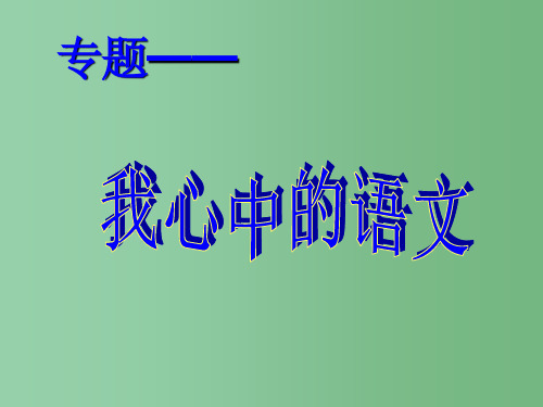 九年级语文下册 第五单元 专题《我心中的语文》 苏教版