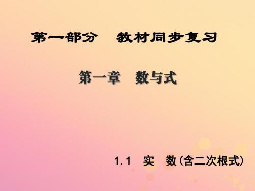 (陕西专版)中考数学新突破复习第一部分教材同步复习第一章数与式1.1实数(含二次根式)课件
