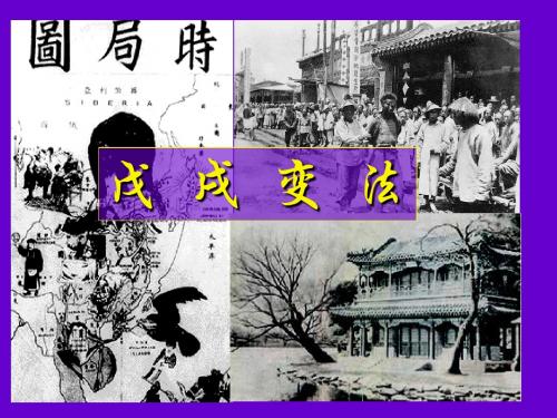 15课_戊戌变法选修