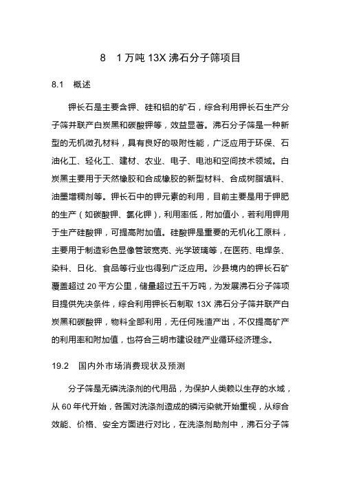 1万吨沸石分子筛项目