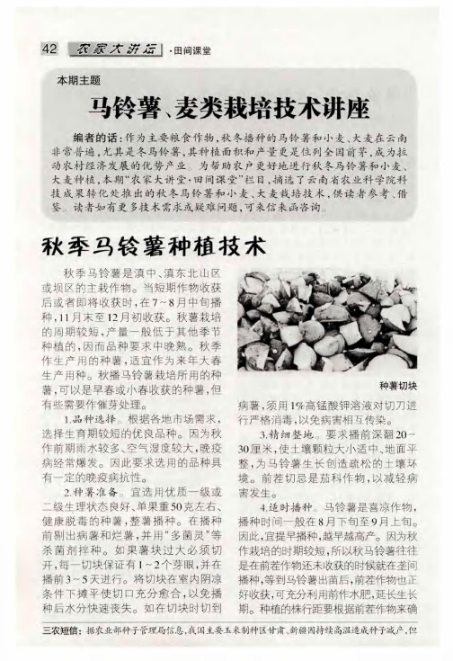 马铃薯、麦类栽培技术讲座——秋季马铃薯种植技术