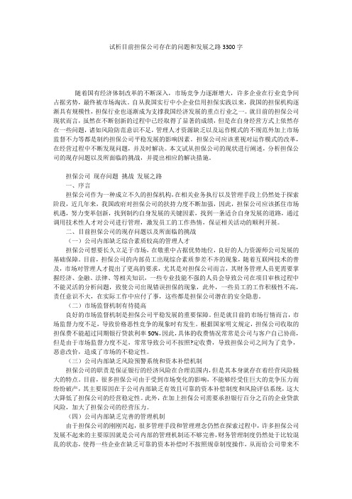 试析目前担保公司存在的问题和发展之路3300字