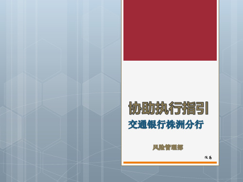 协助执行指引2013