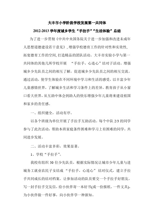 2012大丰市小学阶段学校发展第一共同体总结