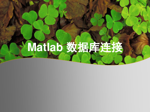 matlab数据库操作解读
