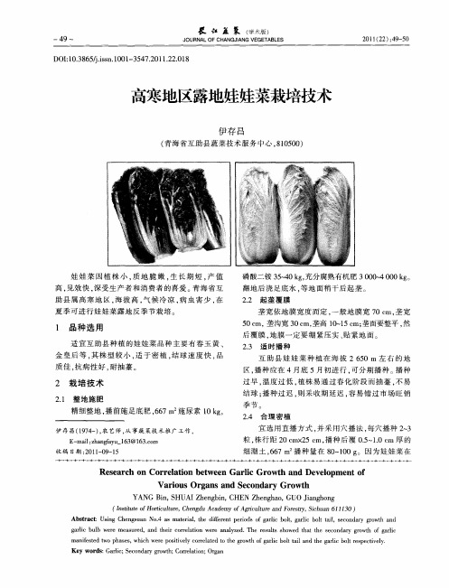 高寒地区露地娃娃菜栽培技术