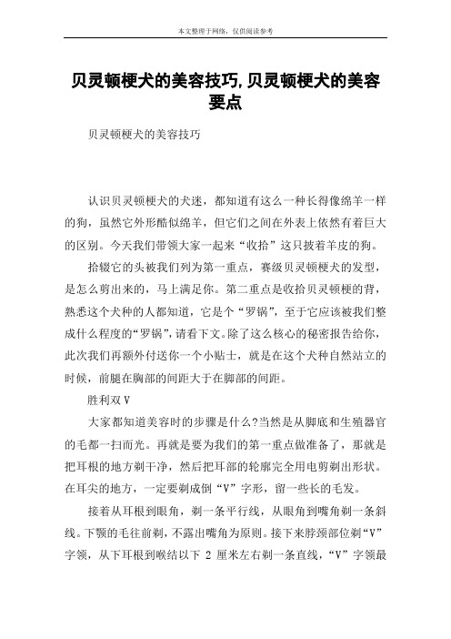 贝灵顿梗犬的美容技巧,贝灵顿梗犬的美容要点