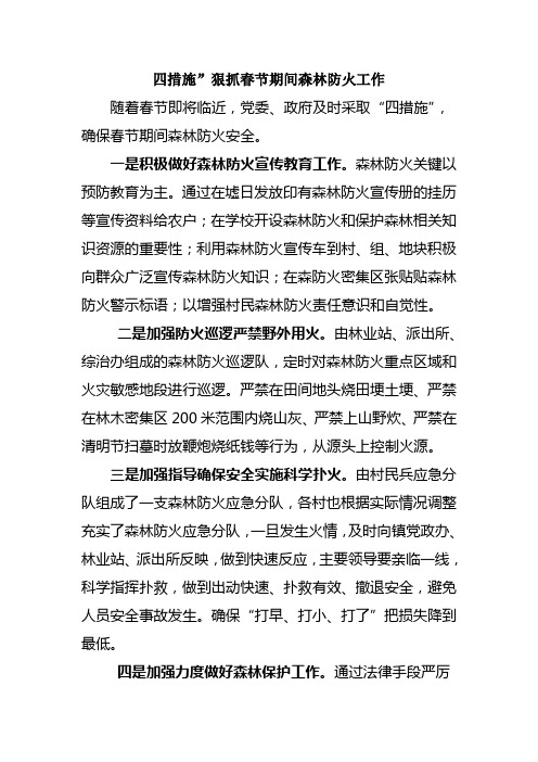 “四措施”狠抓春节期间森林防火工作