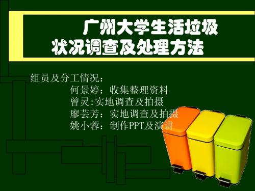 广州市 垃圾分类    调查报告  模版 PPT