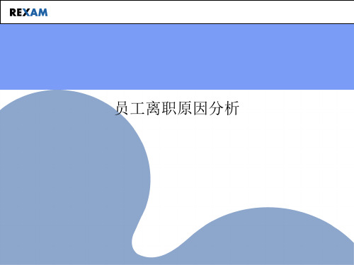 员工离职原因分析.完美版PPT