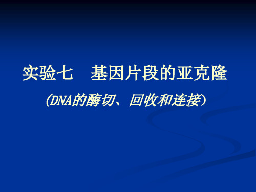 DNA 酶切、回收和连接