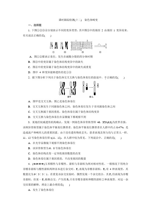 2017-2018学年高中生物浙科版必修2课时跟踪检测十二 
