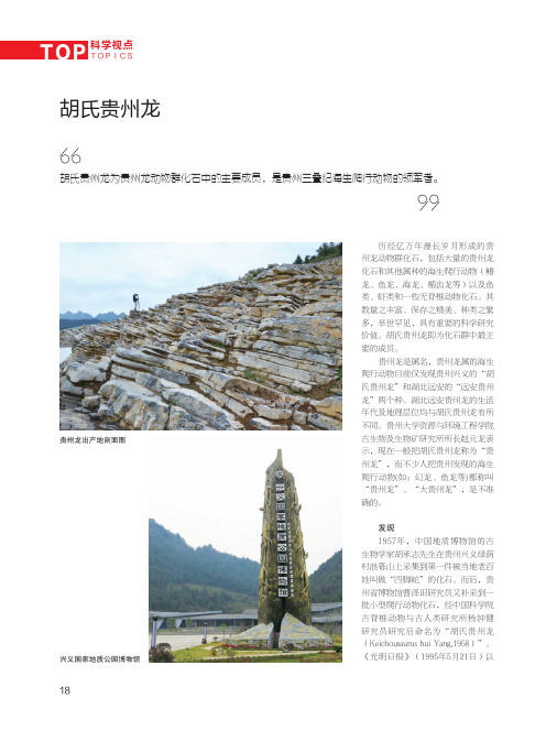 胡氏贵州龙