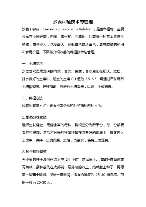 沙姜种植技术与管理