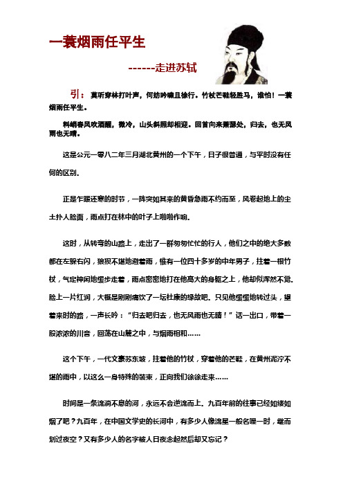 一蓑烟雨任平生 (1)
