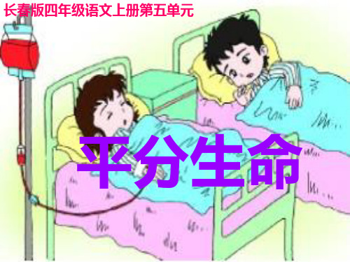(长春版)四年级语文上册《平分生命 》(15张PPT)