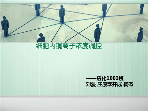 细胞内铜离子浓度的调控(修改版、刘漫)